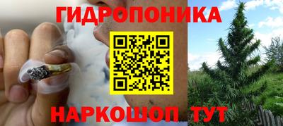 a pvp Конаково