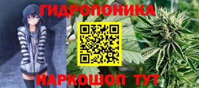 прущие грибы Коммунар